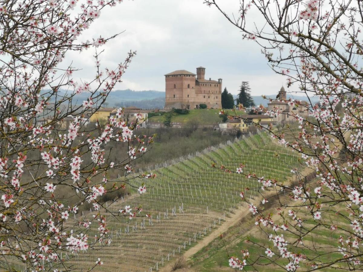 Casa Pulci Hotel Grinzane Cavour Buitenkant foto