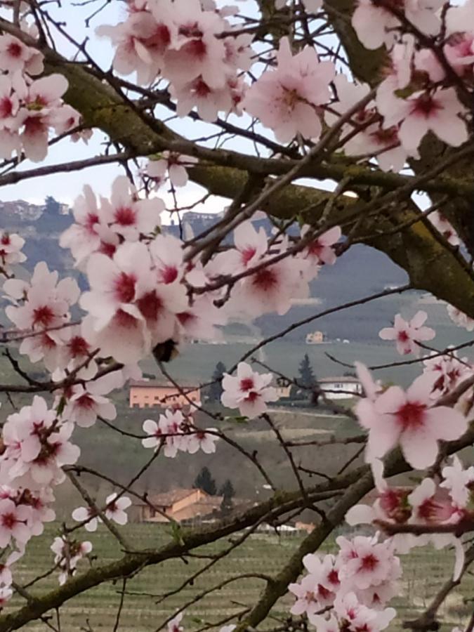 Casa Pulci Hotel Grinzane Cavour Buitenkant foto